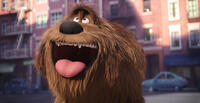 A scene from "The Secret Life of Pets."