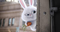A scene from "The Secret Life of Pets."