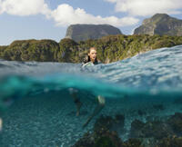 Check out the movie photos of 'The Shallows'