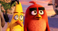 Chuck Voiced by Josh Gad and Red Voiced by Jason Sudeikis in "The Angry Birds Movie."