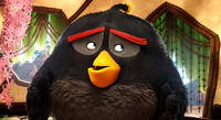 Bomb Voiced by Danny McBride in "The Angry Birds Movie."