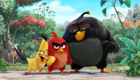 A scene from "The Angry Birds Movie."