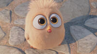 A scene from "The Angry Birds Movie."