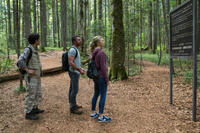 Yukiyoshi Ozawa as Michi, Taylor Kinney as Aiden and Natalie Dormer as Sara in "The Forest."