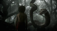 A scene from " The Jungle Book."