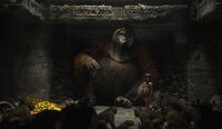 A scene from "The Jungle Book."