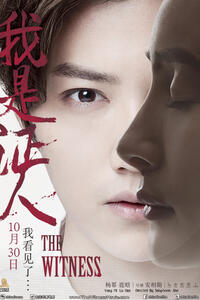The Witness (Wo Shi Zheng Ren) poster
