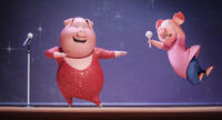 Check out all the movie photos of 'Sing'