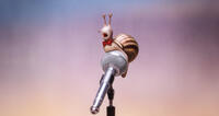 A scene from "Sing."