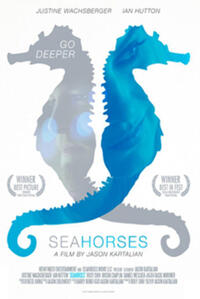 Seahorses poster art