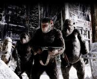 Check out these photos for "War for the Planet of the Apes"