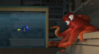 A scene from "Finding Dory."