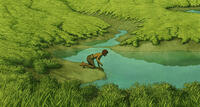 A scene from "The Red Turtle."