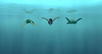 A scene from "The Red Turtle."