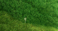 Check out the movie photos of 'The Red Turtle'
