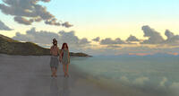 A scene from "The Red Turtle."