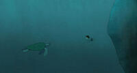 A scene from "The Red Turtle."