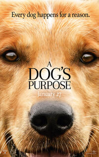 A Dog's Purpose poster art