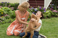 A scene from "A Dog's Purpose."