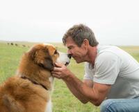 Check out the movie photos of 'A Dog's Purpose'