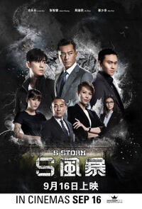 S Storm poster art