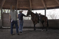 A scene from "Running Wild."