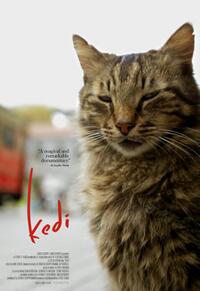 Kedi poster art