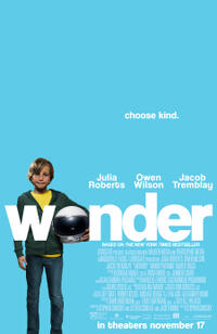 Wonder poster art