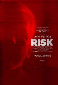 Risk poster art