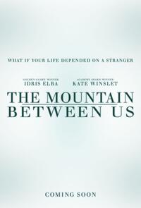 The Mountain Between Us poster art