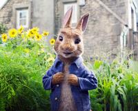 Check out these photos for "Peter Rabbit"