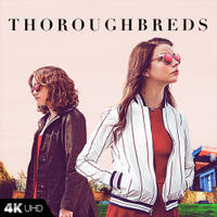 Check out these photos for "Thoroughbreds"