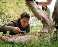 Check out these photos for "Annihilation"