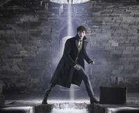 Check out these photos for "Fantastic Beasts: The Crimes of Grindelwald"