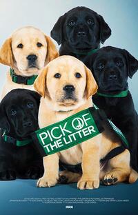 Pick Of The Litter poster art
