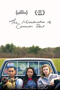 The Miseducation Of Cameron Post poster art