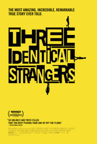 Three Identical Strangers poster art