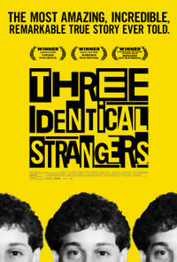 Three Identical Strangers poster art