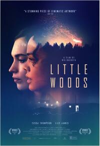 Little Woods poster art