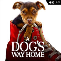 Check out these photos for "A Dog's Way Home"
