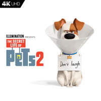 Check out these photos for "The Secret Life Of Pets 2"