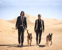 Check out these photos for "John Wick: Chapter 3 - Parabellum"