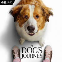 Check out these photos for "A Dog's Journey"