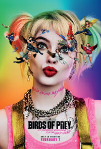 Birds of Prey (And the Fantabulous Emancipation of One Harley Quinn) poster art