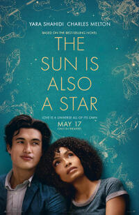 The Sun is Also a Star poster art