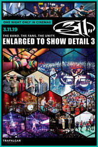 311: Enlarged to Show Detail 3 poster art