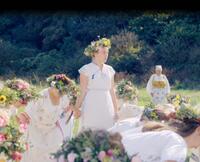 Check out these photos for "Midsommar"