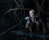 Check out these photos for "Crawl"