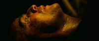 Check out these photos for "Apocalypse Now Final Cut"