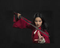 Check out these photos for "Mulan"